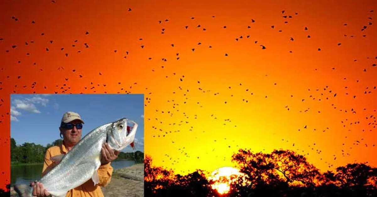 Fishing - 888jogobetss imagem 3